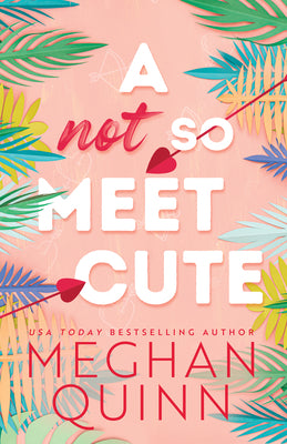 A Not So Meet Cute by Meghan Quinn (Cane Brothers #1)